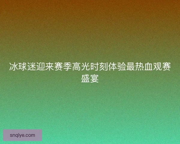 冰球迷迎来赛季高光时刻体验最热血观赛盛宴