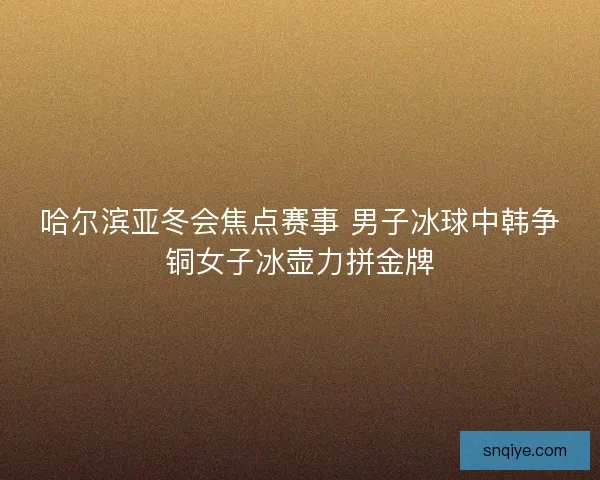 哈尔滨亚冬会焦点赛事 男子冰球中韩争铜女子冰壶力拼金牌